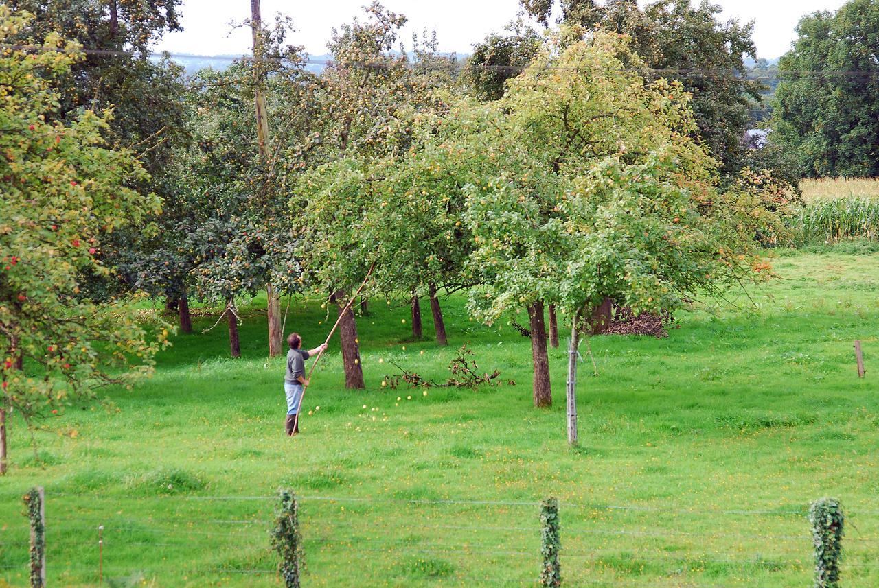 Maison Voie Verte Bion Bagian luar foto